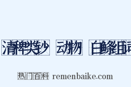 清稗类钞·动物·白鲦组词是什么意思的图片